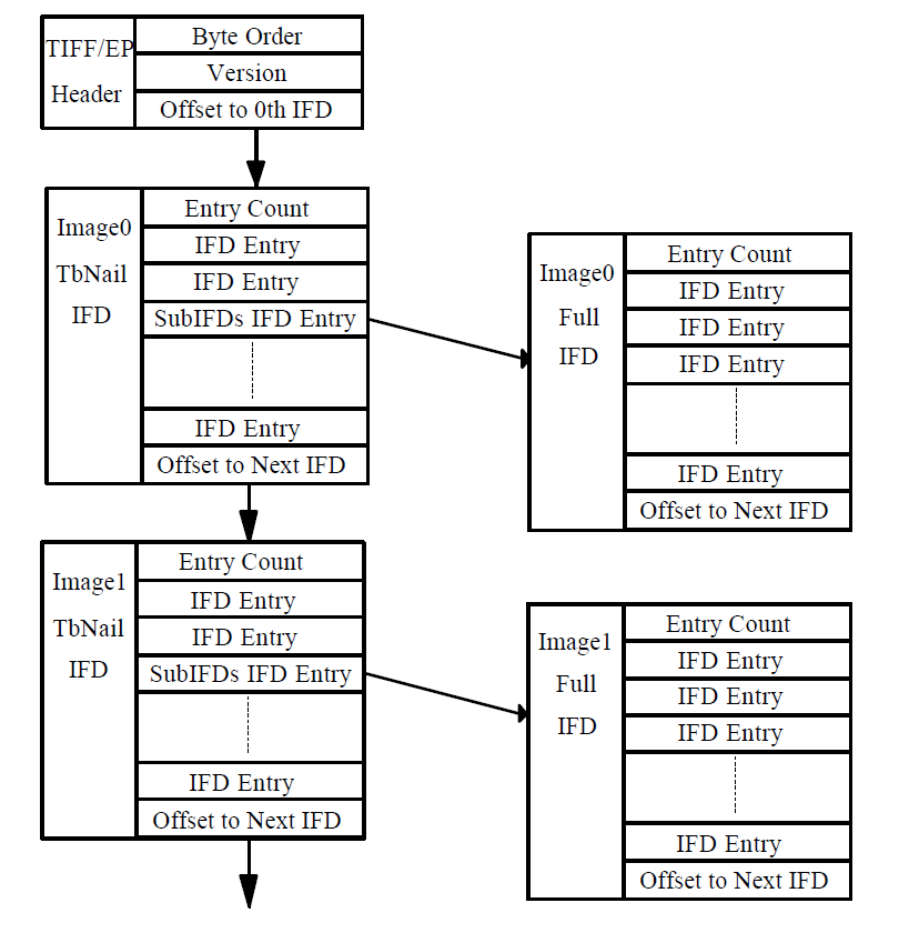 TIFF IFD Tree