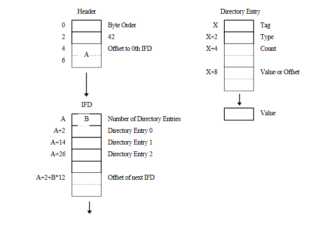 Tiff File Structure